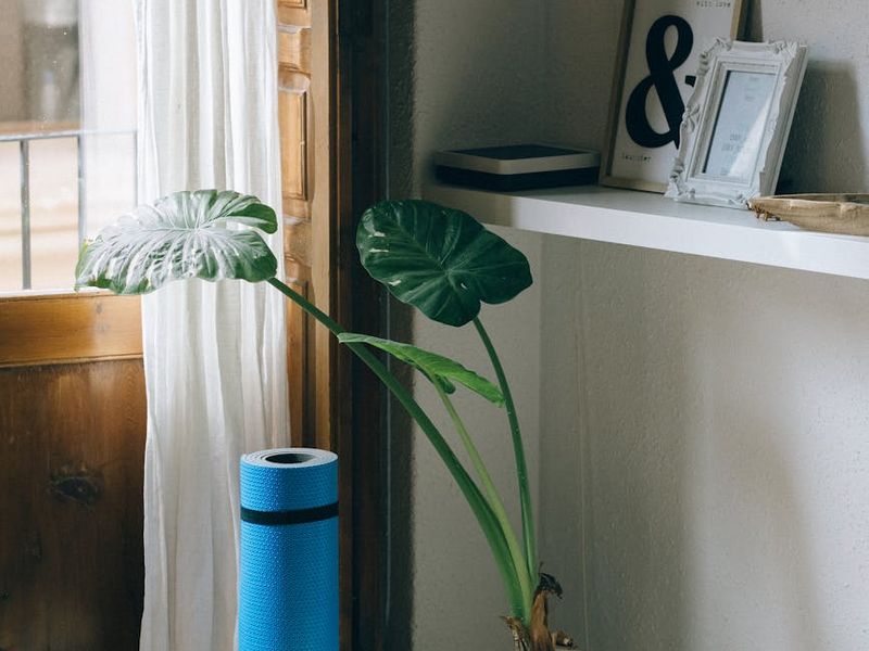 Person doing a gentle stretch on a yoga mat in a minimalist room.